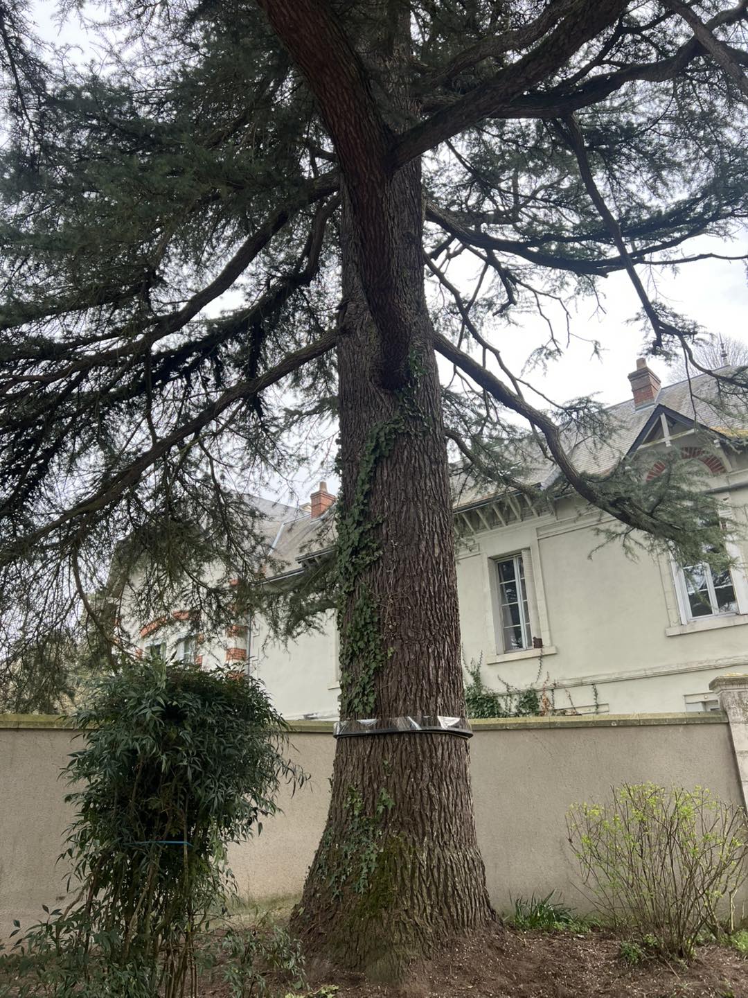 nettoyage apres deces chateau la valliere