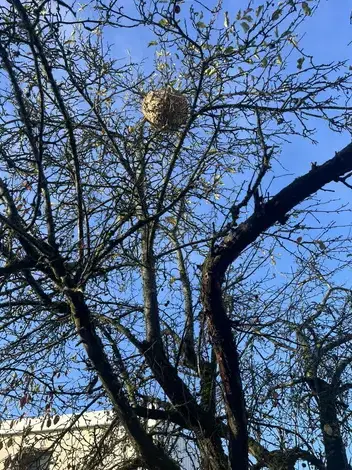 nettoyage apres deces à La Membrolle-sur-Choisille - image 2