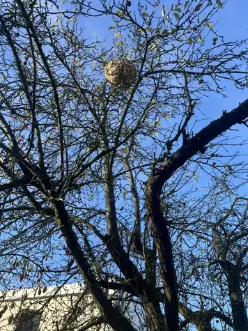 nettoyage apres deces Montlouis-sur-Loire-5