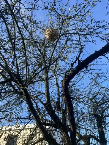 nettoyage diogène La Membrolle-sur-Choisille-1