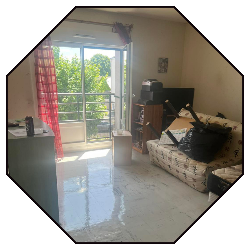 traitement des termites savigne sur lathan